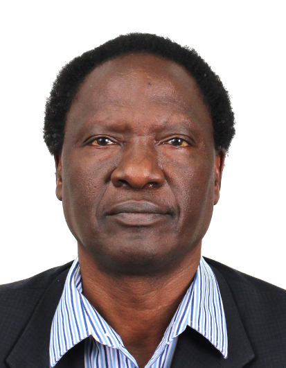 Professor Charles Mbohwa